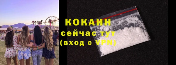 гашик Богородицк