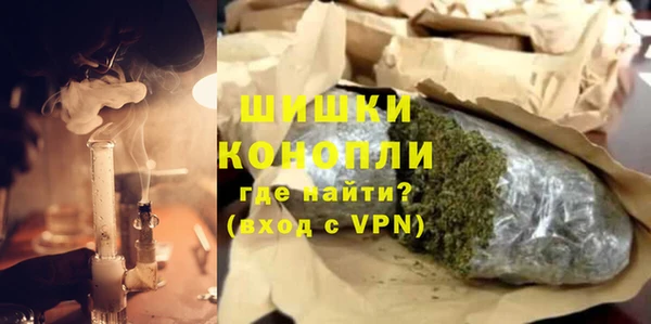 гидра Богородск
