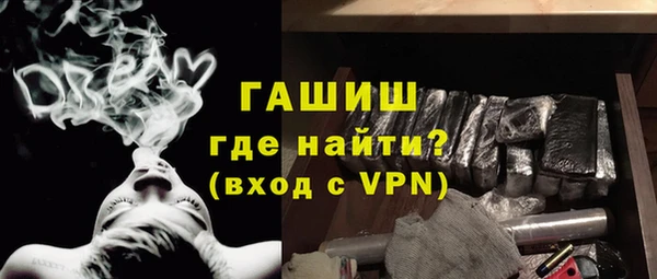 гидра Богородск