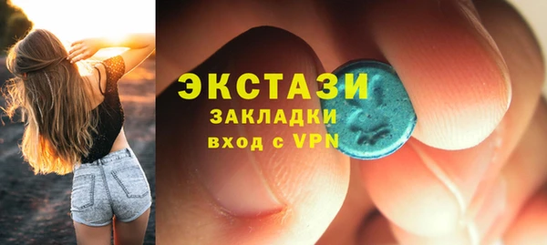 гидра Богородск