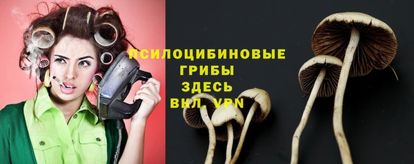 гашик Богородицк