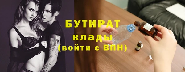 гидра Богородск