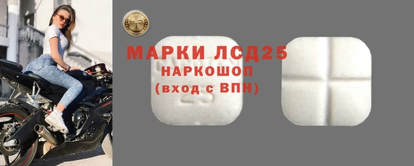 гашик Богородицк