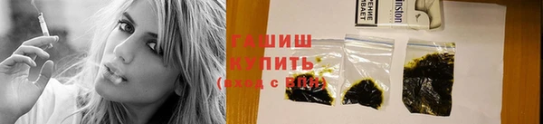 гидра Богородск