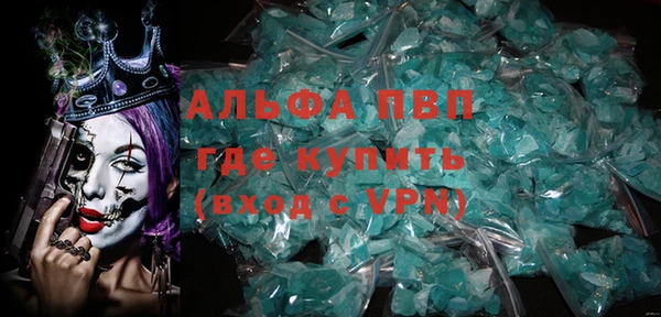 гидра Богородск