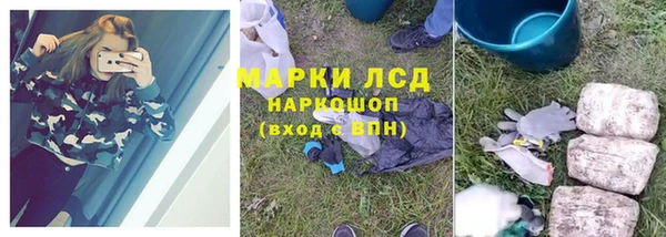 гидра Богородск