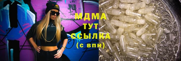 гидра Богородск