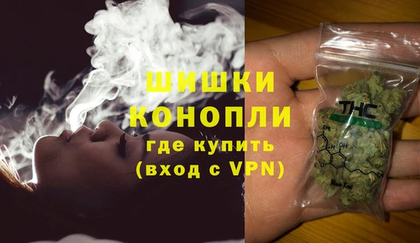 гидра Богородск