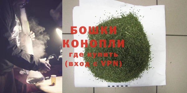 гидра Богородск