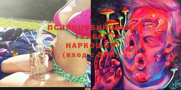 гидра Богородск
