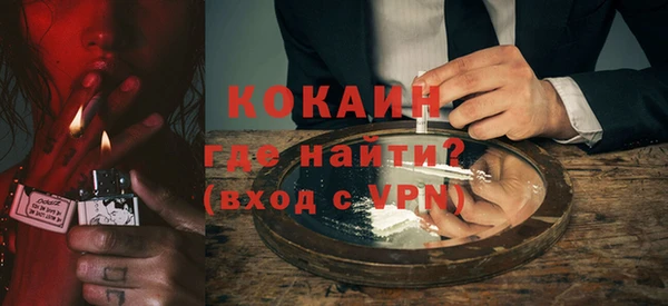 гидра Богородск