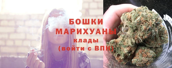 гидра Богородск