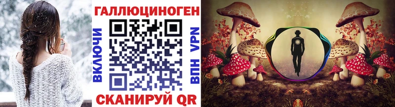 нарко площадка Telegram Екатеринбург Псилоцибиновые грибы прущие грибы купить закладку